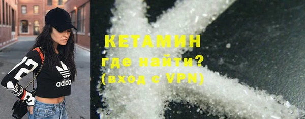 шишки Карпинск