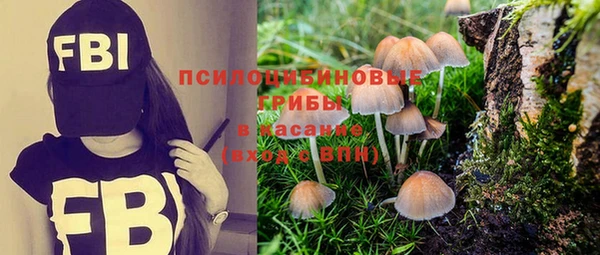 гашик Касимов